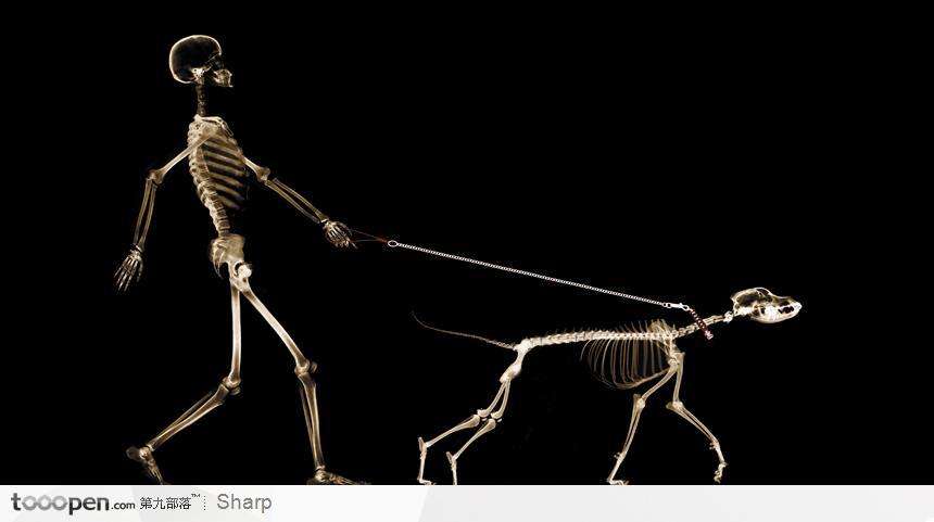 walking-skeleton